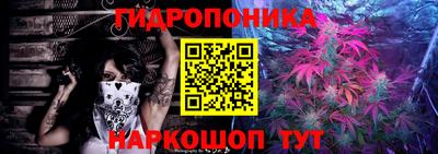 дурь Гусев
