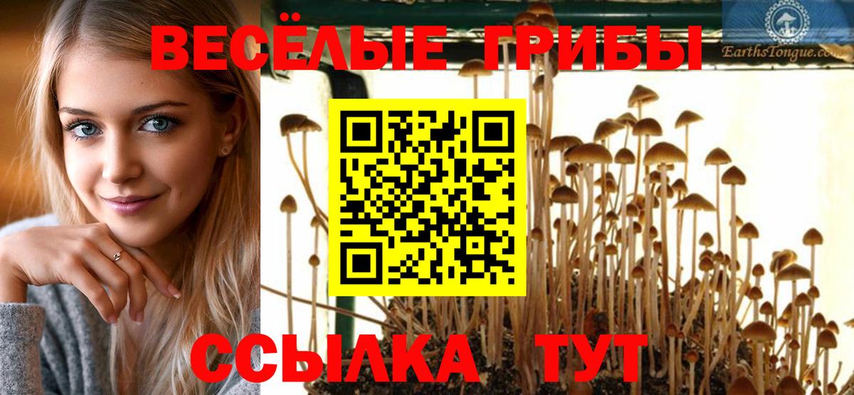 Псилоцибиновые грибы GOLDEN TEACHER  Вход с VPN  Галлюциногенные грибы MAGIC MUSHROOMS  Моздок 